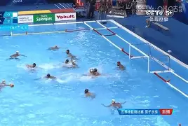 多米APP下载-塞维利亚比赛时间