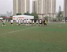 多米APP下载-武汉卓尔球队官网