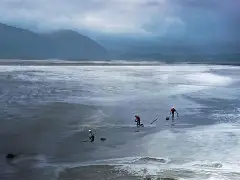 莫测之影卡蜜尔